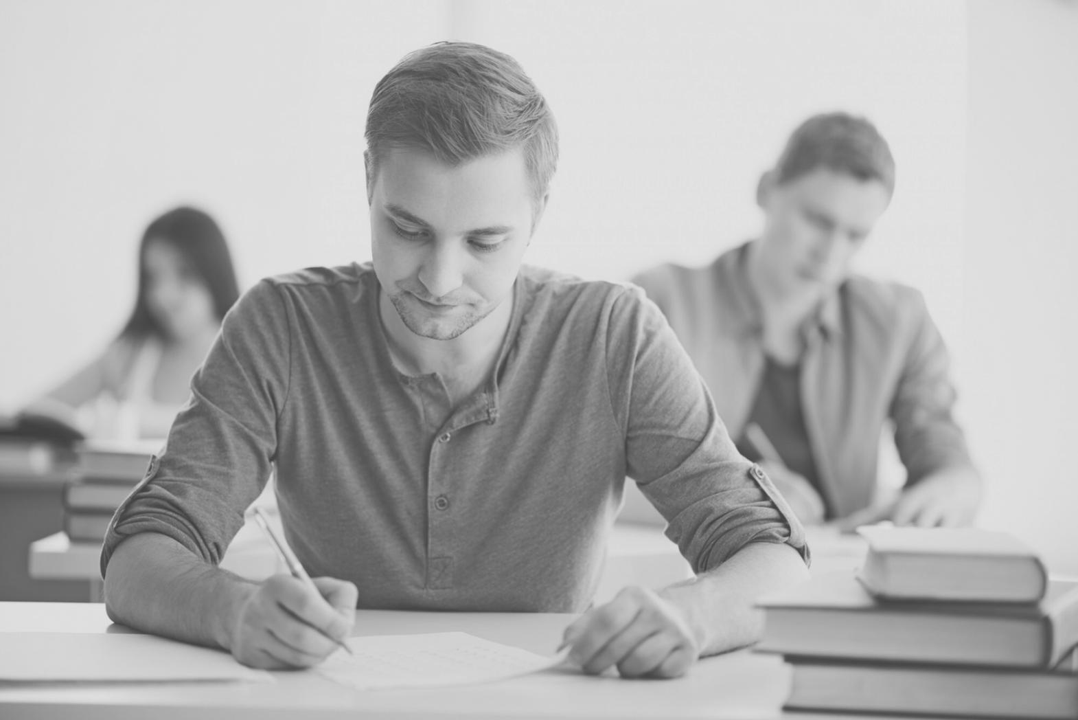 Budget strategy learning environment